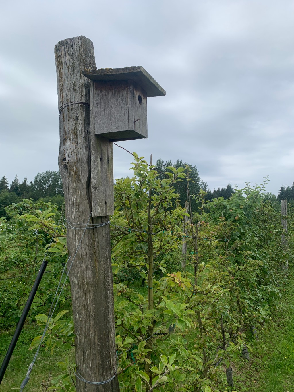 For the Farmless&nbsp;Farmers