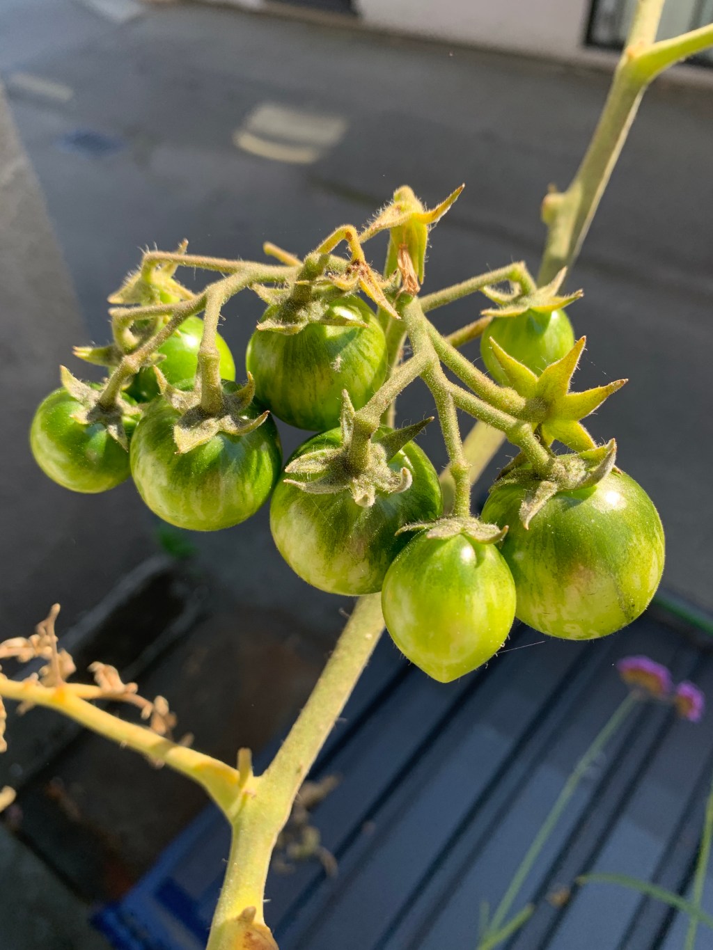 2022: Year in&nbsp;Review