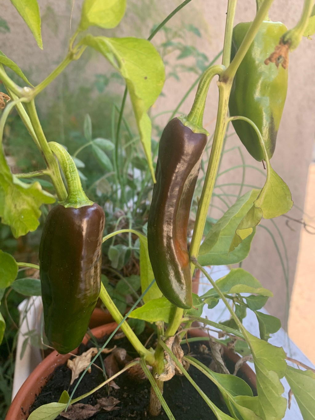 2023 Year in&nbsp;Review