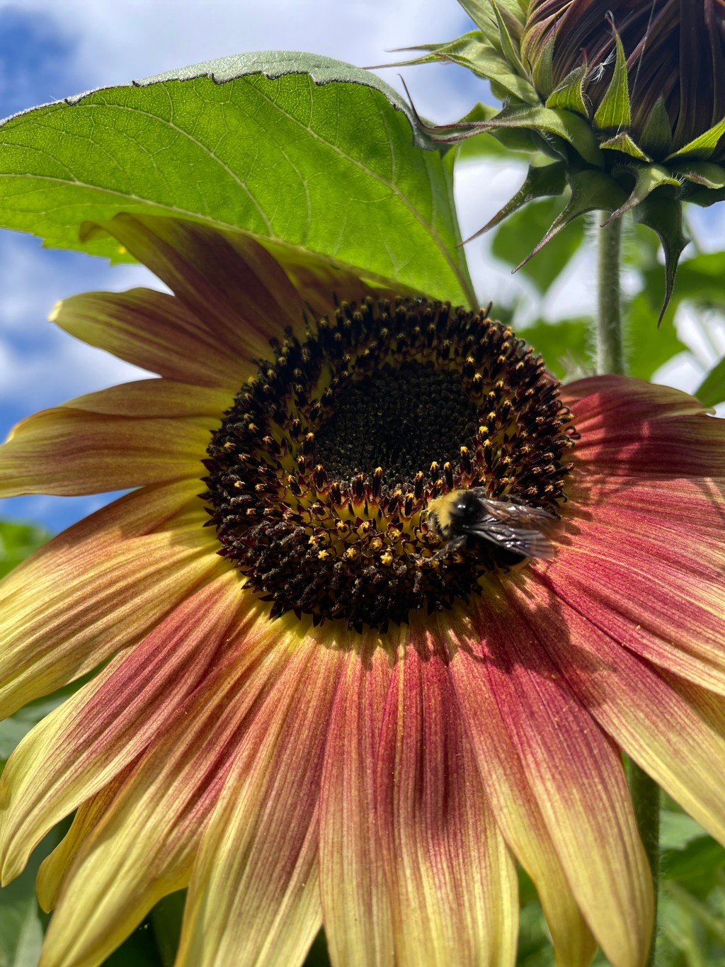 How a “Normal” Weather Year Changed How I Think About Food Security&nbsp;Threats