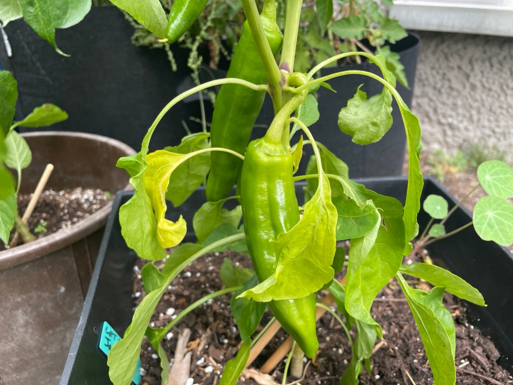 2024 Year In&nbsp;Review