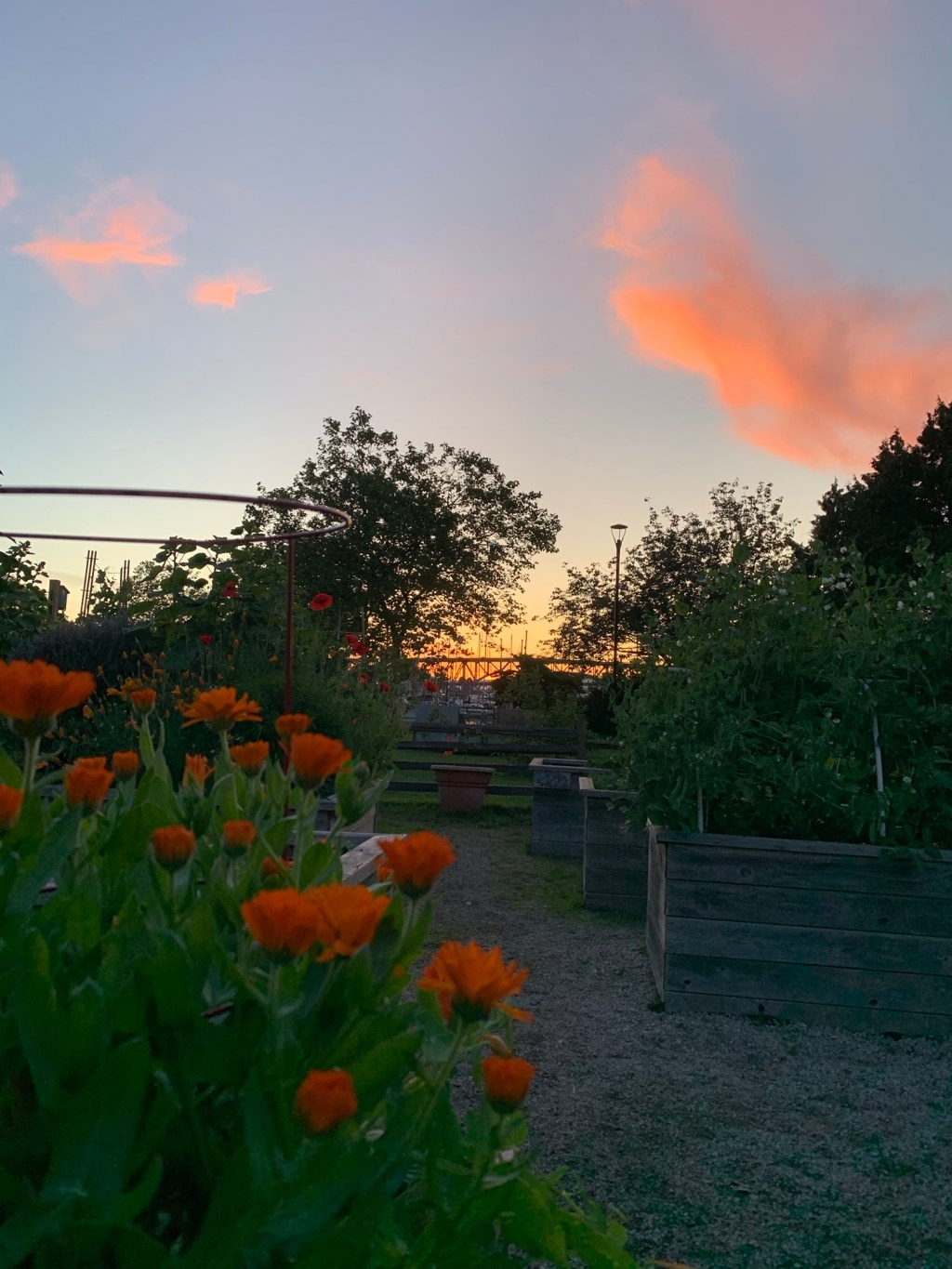 2025 Year In&nbsp;Review