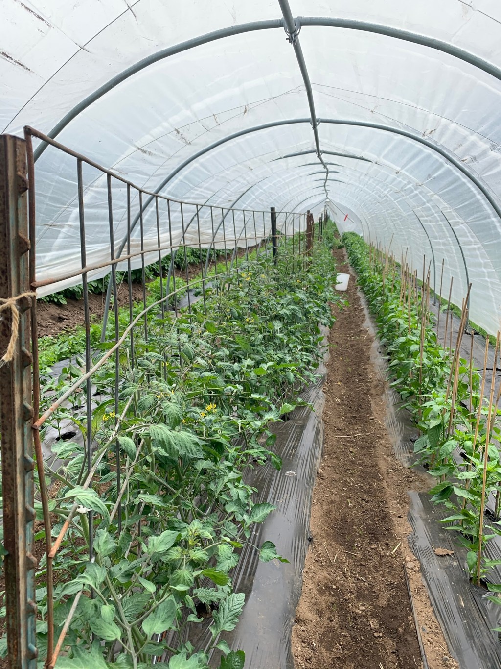 Make Do and&nbsp;Amend