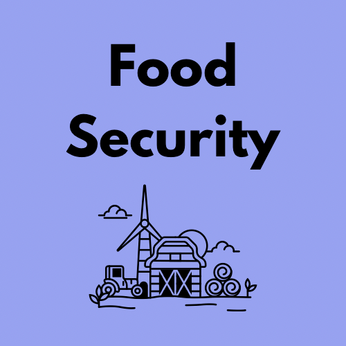 Website Updates +&nbsp;Courses