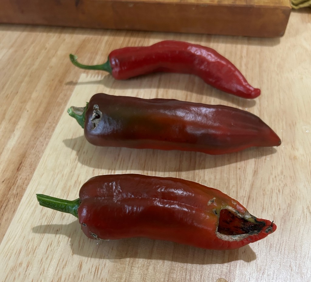 Partially Perished Pepper&nbsp;Crop